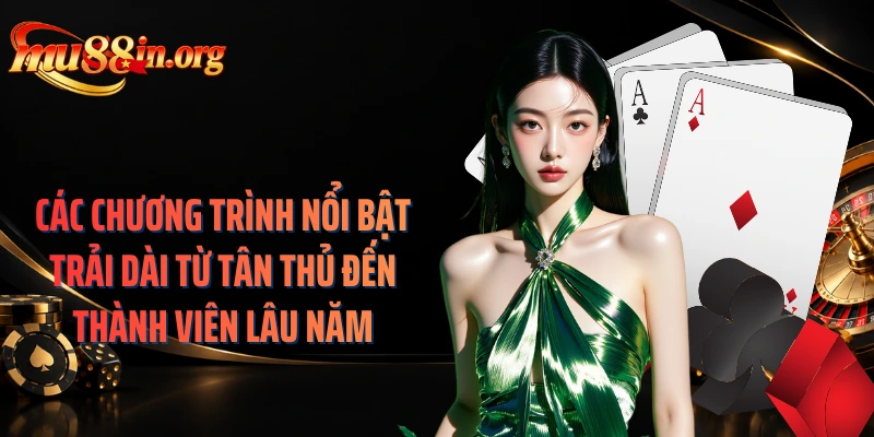 Các chương trình nổi bật trải dài từ tân thủ đến thành viên lâu năm