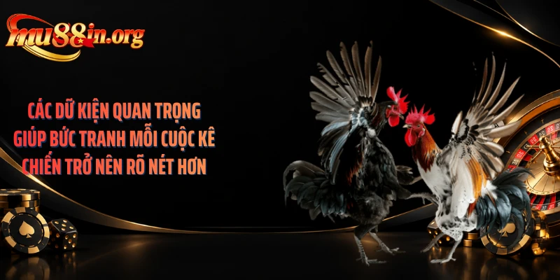 Các dữ kiện quan trọng giúp bức tranh mỗi cuộc kê chiến trở nên rõ nét hơn