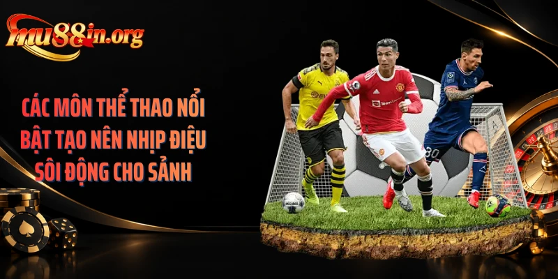 Các môn thể thao nổi bật tạo nên nhịp điệu sôi động cho sảnh