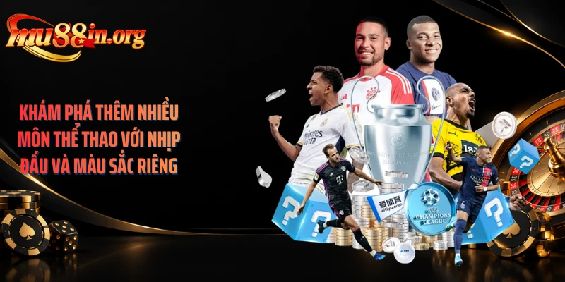 Khám phá thêm nhiều môn thể thao với nhịp đấu và màu sắc riêng