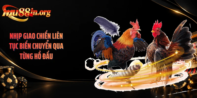 Nhịp giao chiến liên tục biến chuyển qua từng hồ đấu