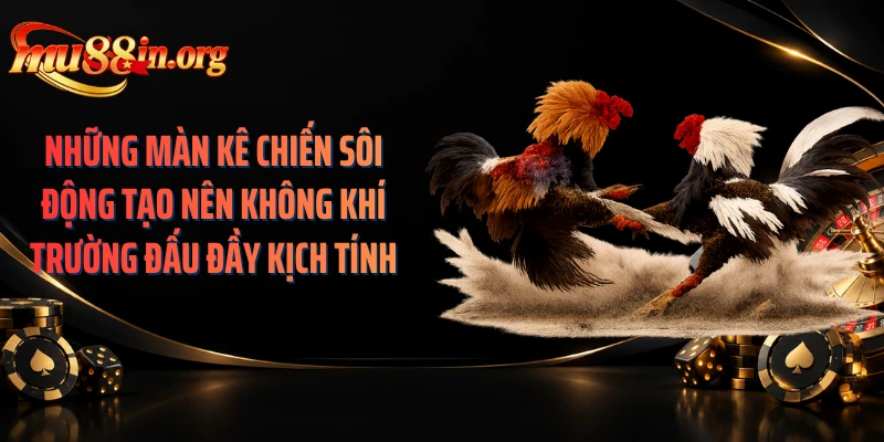 Những màn kê chiến sôi động tạo nên không khí trường đấu đầy kịch tính
