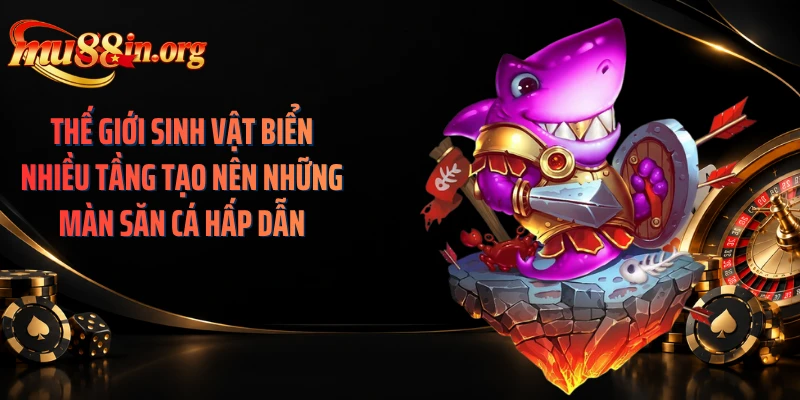 Thế giới sinh vật biển nhiều tầng tạo nên những màn săn cá hấp dẫn